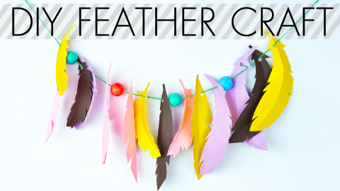  DIY Feather Craft 